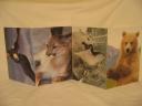 Sierra Club Wildlife Postcards