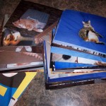picture-006