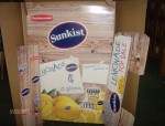 sunkist lemonade stand
