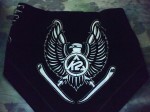 pic011309_2