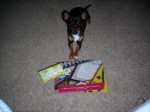 Roxy's helping